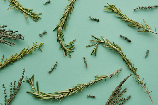 Does Rosemary Oil Really Work?